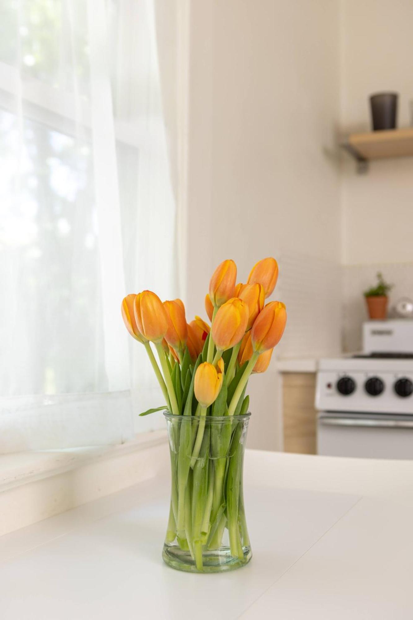 Its Back Historic Flat In Downtown Boise Apartment Bagian luar foto
