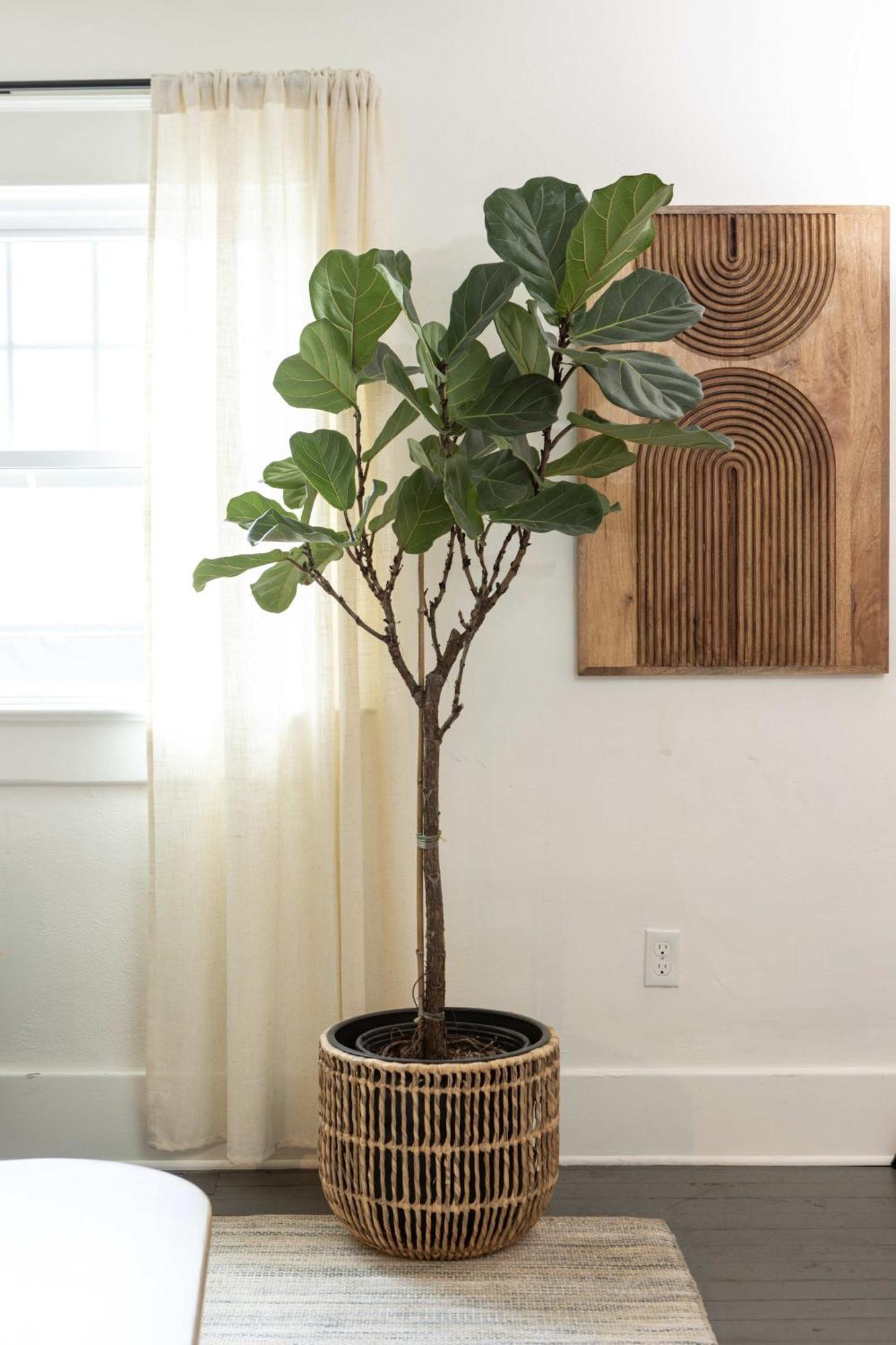Its Back Historic Flat In Downtown Boise Apartment Bagian luar foto